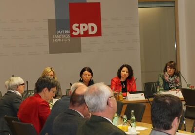 Die SPD-Gesundheitspolitikerinnen im Gespräch mit den Experten