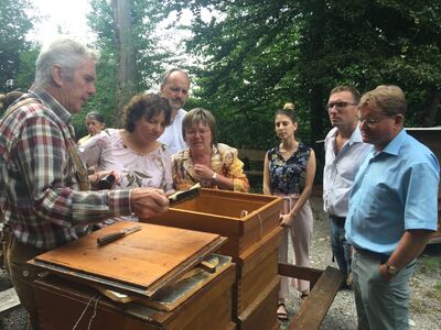 Text: Auszug aus: Von kranken Bienen und gestressten Altenpflegern - Allgäuer Zeitung Kempten vom 09.08.2018