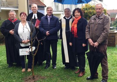 Der Baum als Zeichen der Hoffnung - gepflanzt im Seniorenheim Rohr